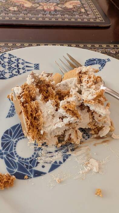 PXL_20260111_234633287.MP