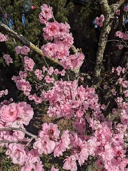 PXL_20260209_223620606