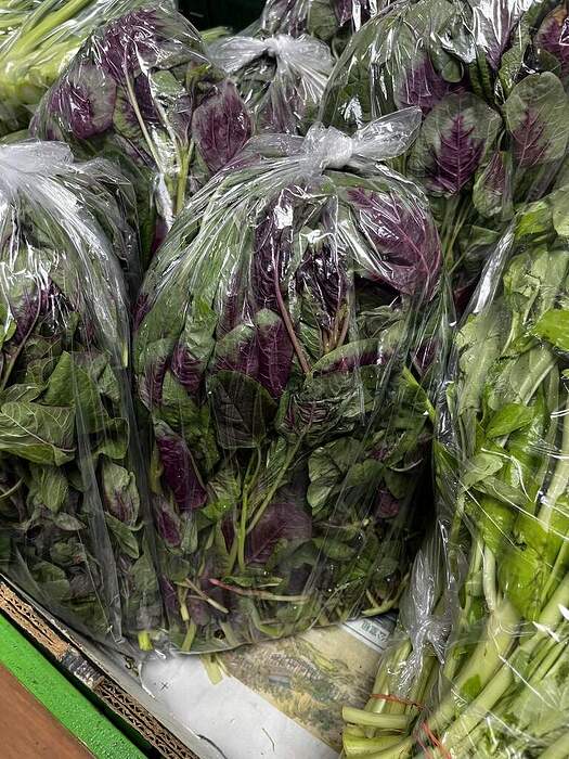 4E44FD4B-9650-45F0-9848-90B0E19987BC_1_105_c