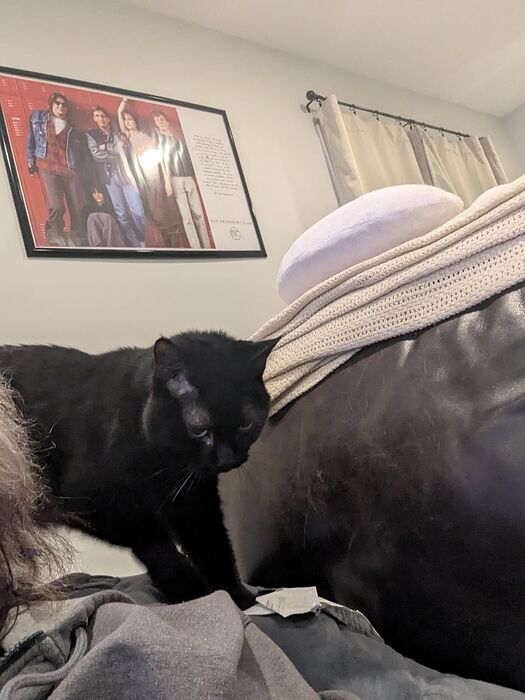 PXL_20251027_002348156