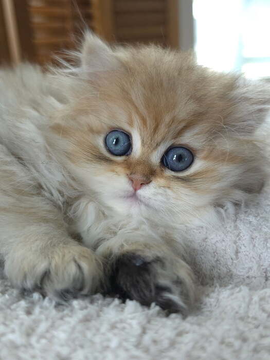 image000000
