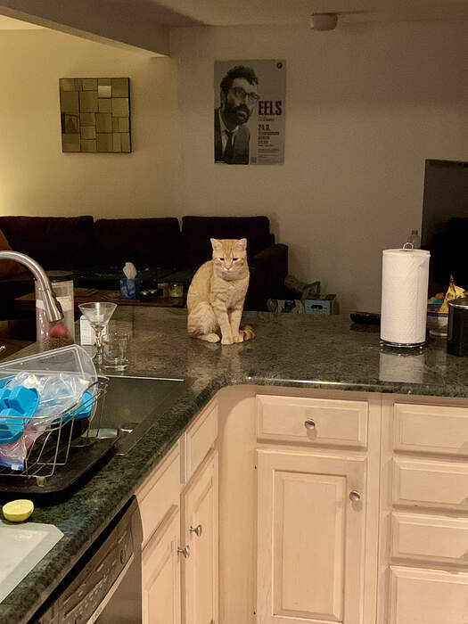 933C6A59-3E4B-4EF8-BCBF-F8DCF3454E1A_1_201_a