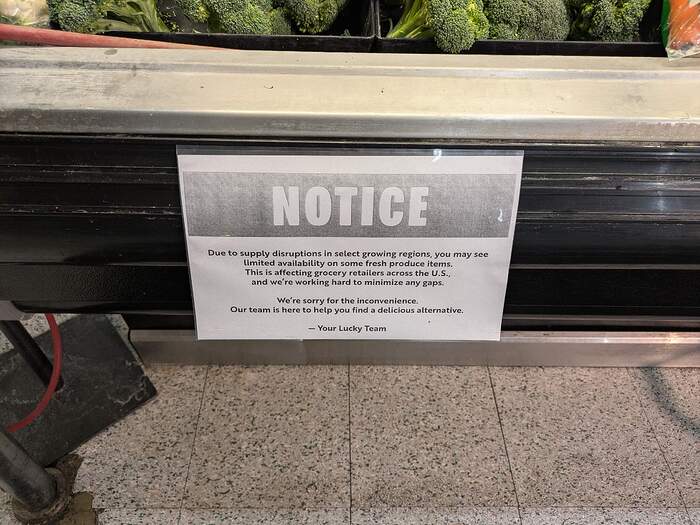 PXL_20260317_234434322