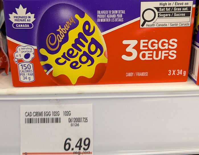 PXL_20260112_195718445.MP~2