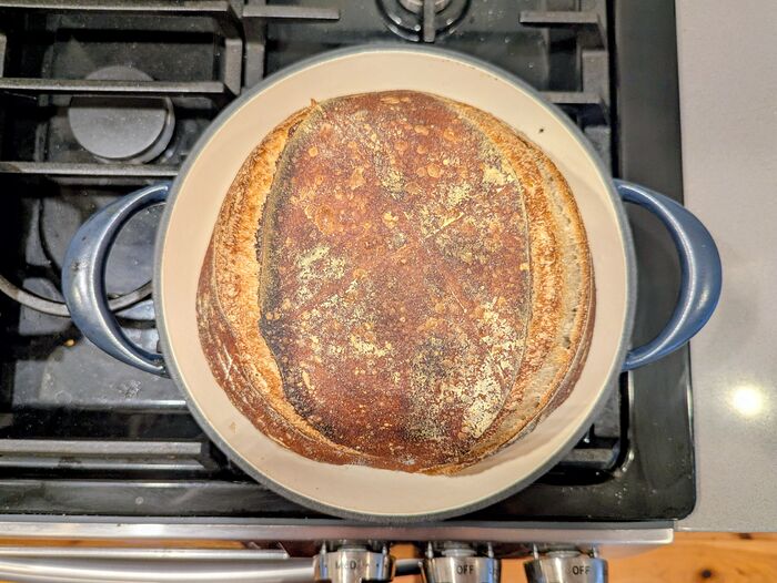 PXL_20260215_155709105.MP~2