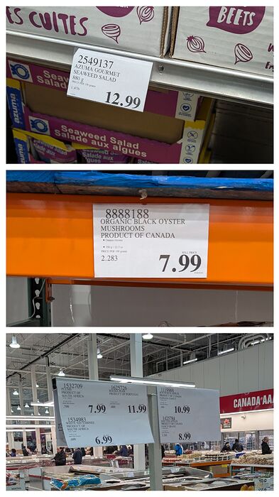 20260401_205310-COLLAGE