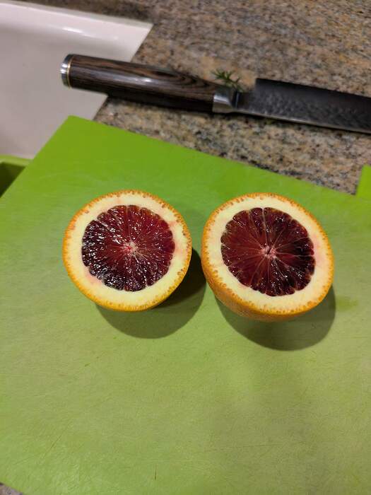 PXL_20250513_182612608