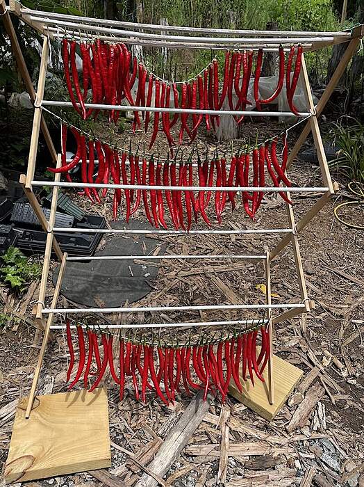 ErJingStrings