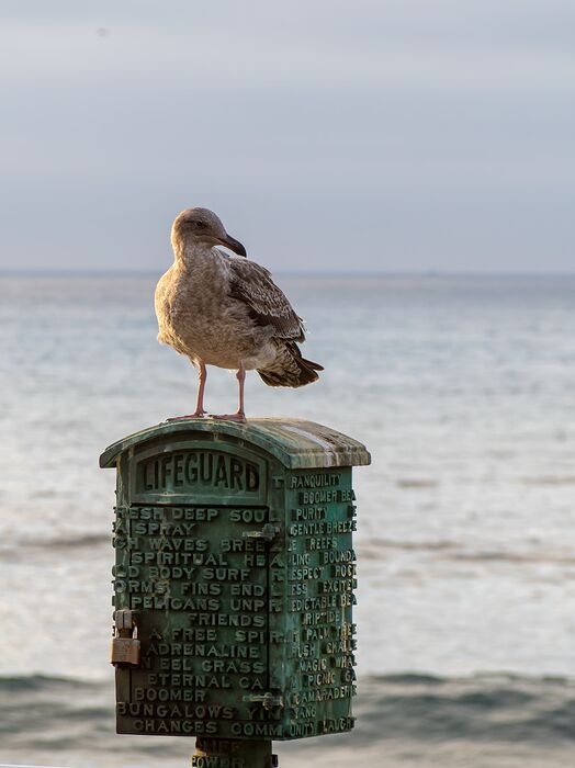 _A210199_DxO