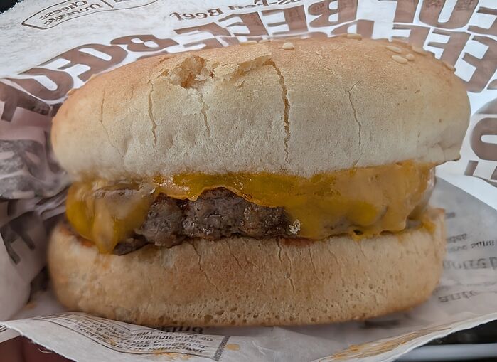 PXL_20260113_160607291~3