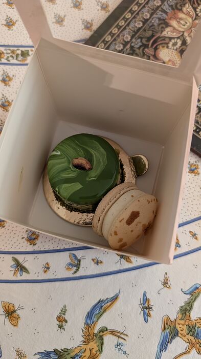 PXL_20251117_003952171