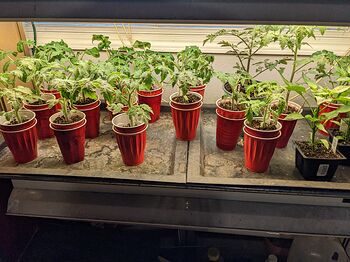 PXL_20230416_005747635