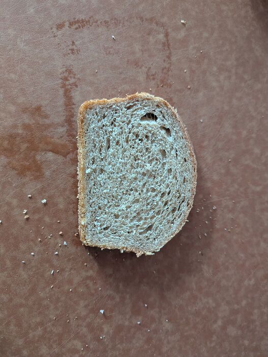 PXL_20251110_205811474.MP