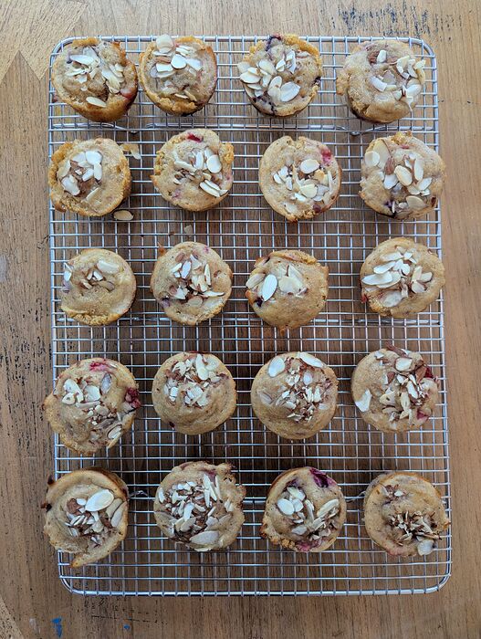 PXL_20260415_214610527.MP~2