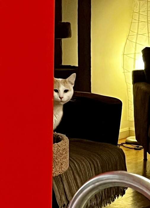 30B257BF-B8AF-4521-B3A2-CD50B1C1CE70_1_105_c