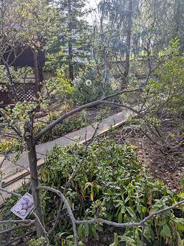 PXL_20260208_194029217