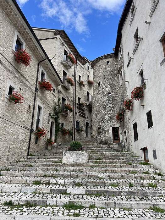 E775B101-B7A1-40D8-AD38-322285C41232_1_105_c