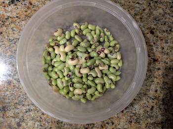 PXL_20250810_032824428