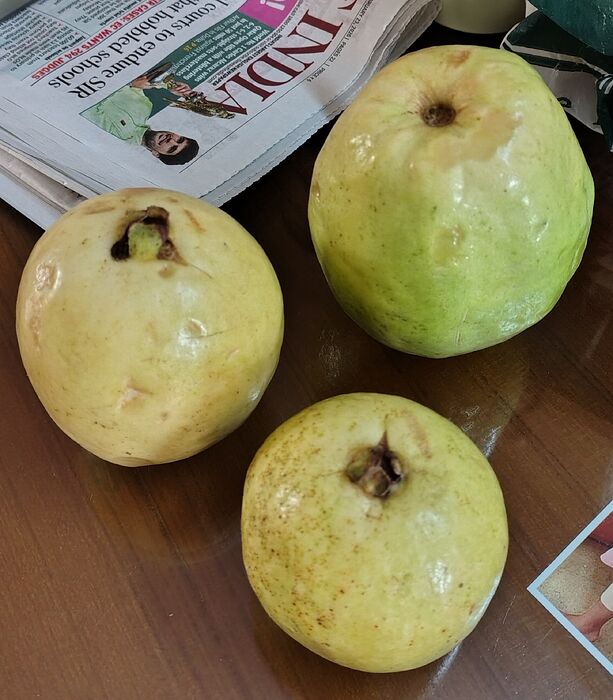 IMG_20260223_135501796_HDR