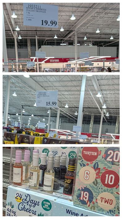 20251005_152711-COLLAGE