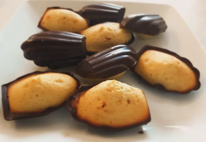 IMG_20260131_162013_289