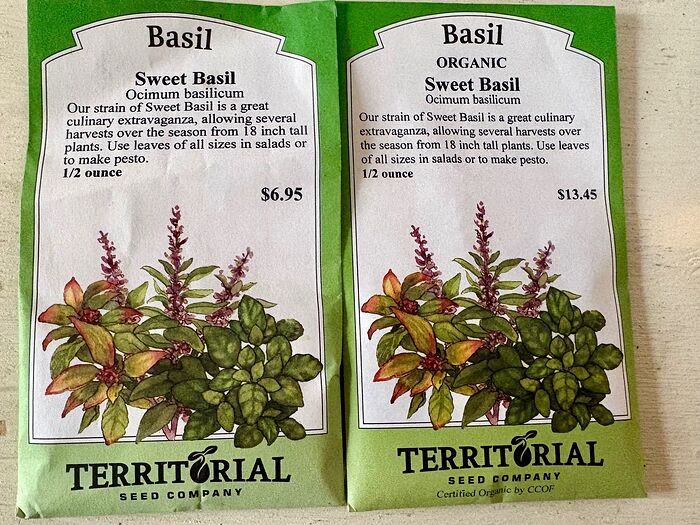 Sweet Basil