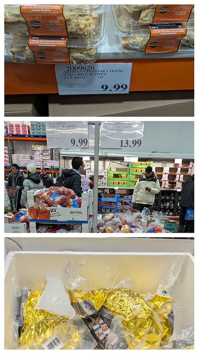 20260123_205521-COLLAGE