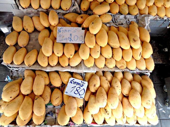 557254967_10228007004830061_6896989983817479675_n