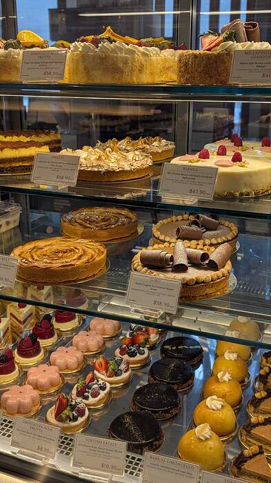 PXL_20260128_181709812.PORTRAIT