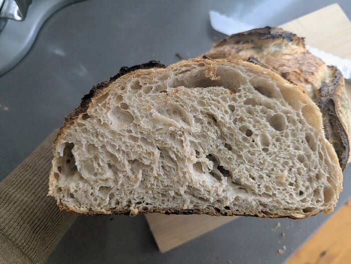 PXL_20260127_194715316.MP~2