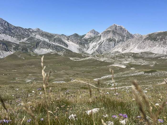 104DC06F-3D4A-4BF3-8F56-926806996DCF_1_105_c