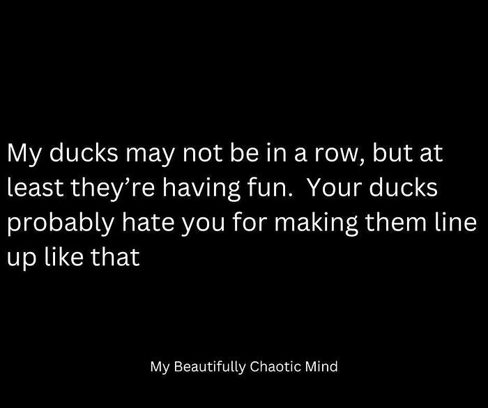 547868243_10237683849906361_7012725758273895610_n