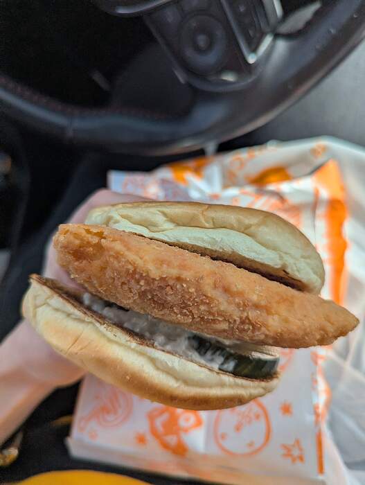 PXL_20260305_174259462.MP