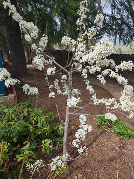 17711823393751480860201905238564