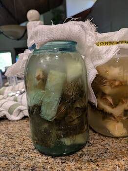 PXL_20260316_164956022