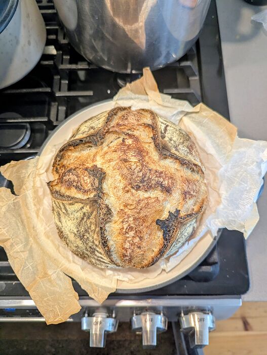 PXL_20260127_182811093.MP~2