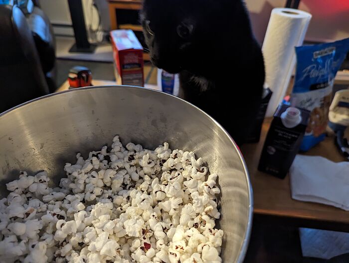 PXL_20230304_010927420