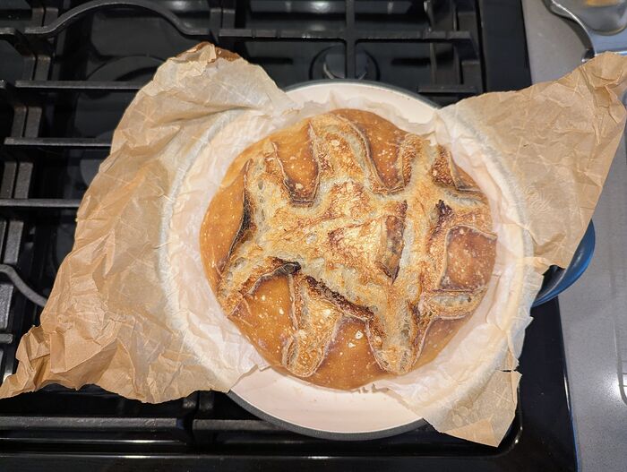 PXL_20260203_151620533.MP~2