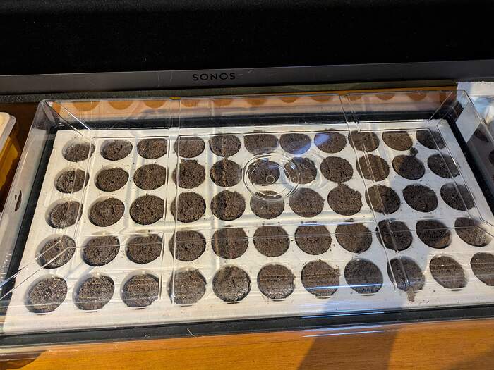 PXL_20260208_010923368