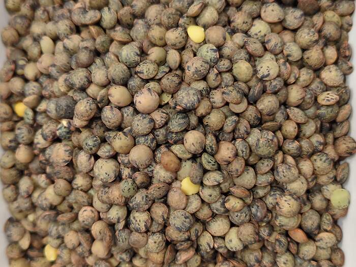 17727605309282920945402114483900