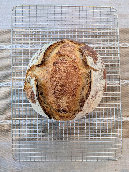 PXL_20260117_175034878.MP~2