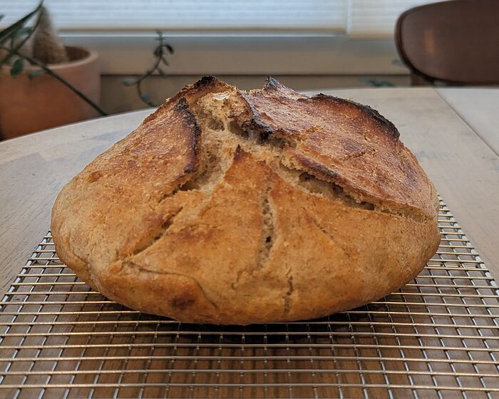 PXL_20251231_173433135.MP~2