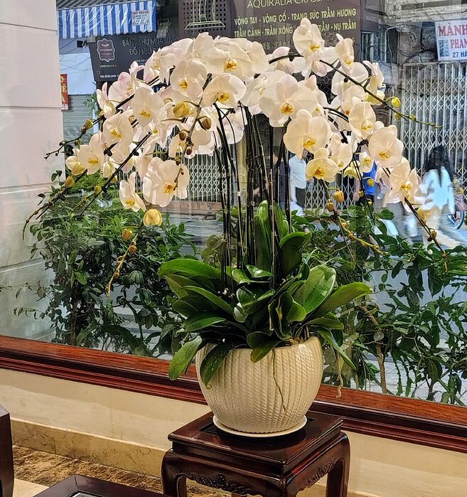 IMG_20250710_220539109_HDR