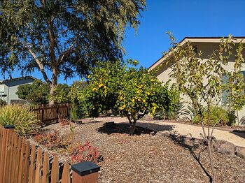 PXL_20251027_215836536.MP