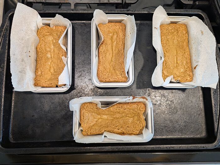 PXL_20260107_184639542.MP~2