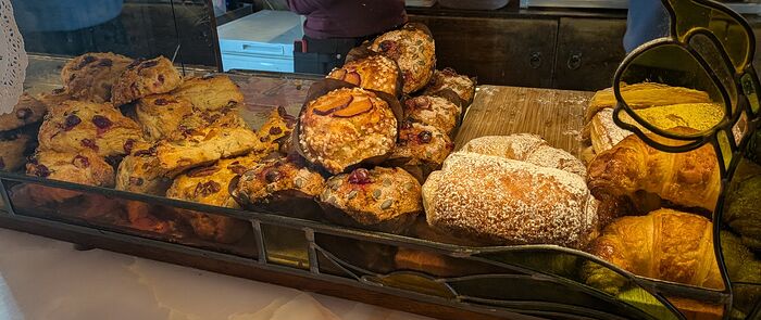 PXL_20251215_152539138~2