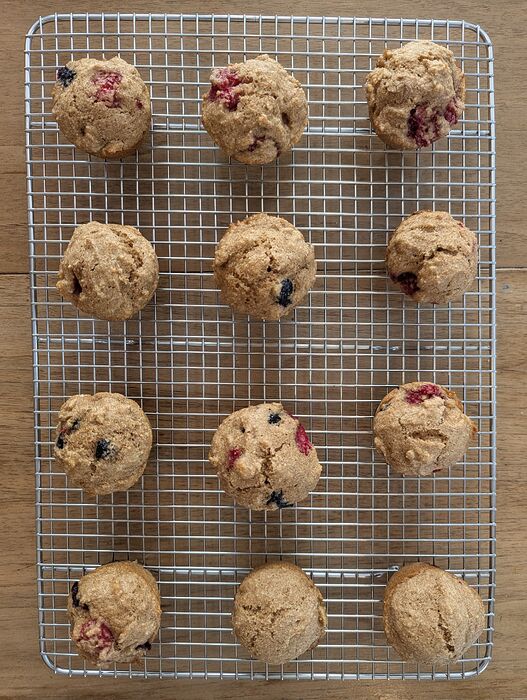 PXL_20260301_163105990.MP~2