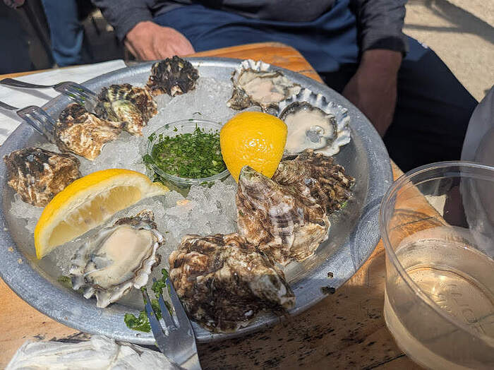 Marshall Store 25 oysters