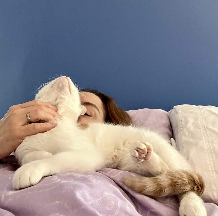 DA430F6A-61BB-41B1-B349-4028D58C537B_1_102_a