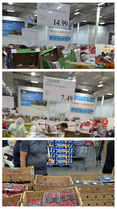 20250823_160524-COLLAGE